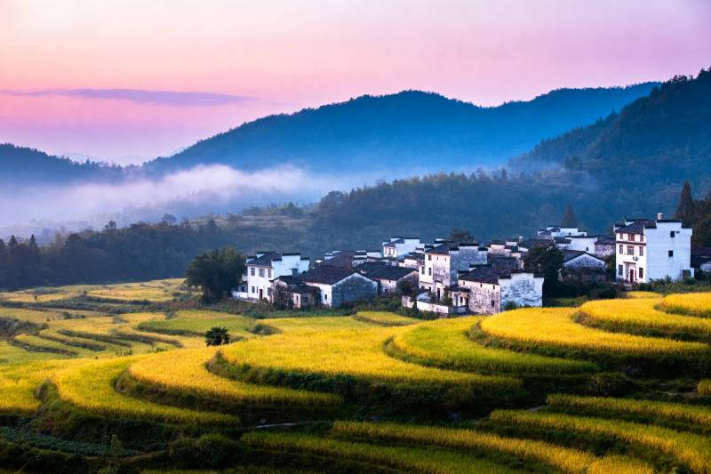 梯田晨曦村景图片