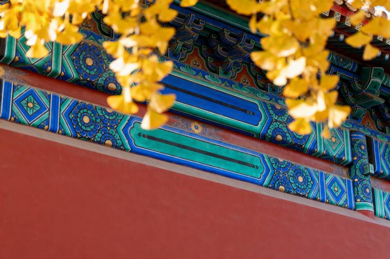 古建筑彩绘与黄花图片