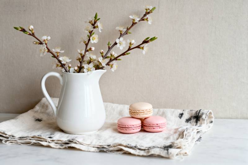 春花与马卡龙图片