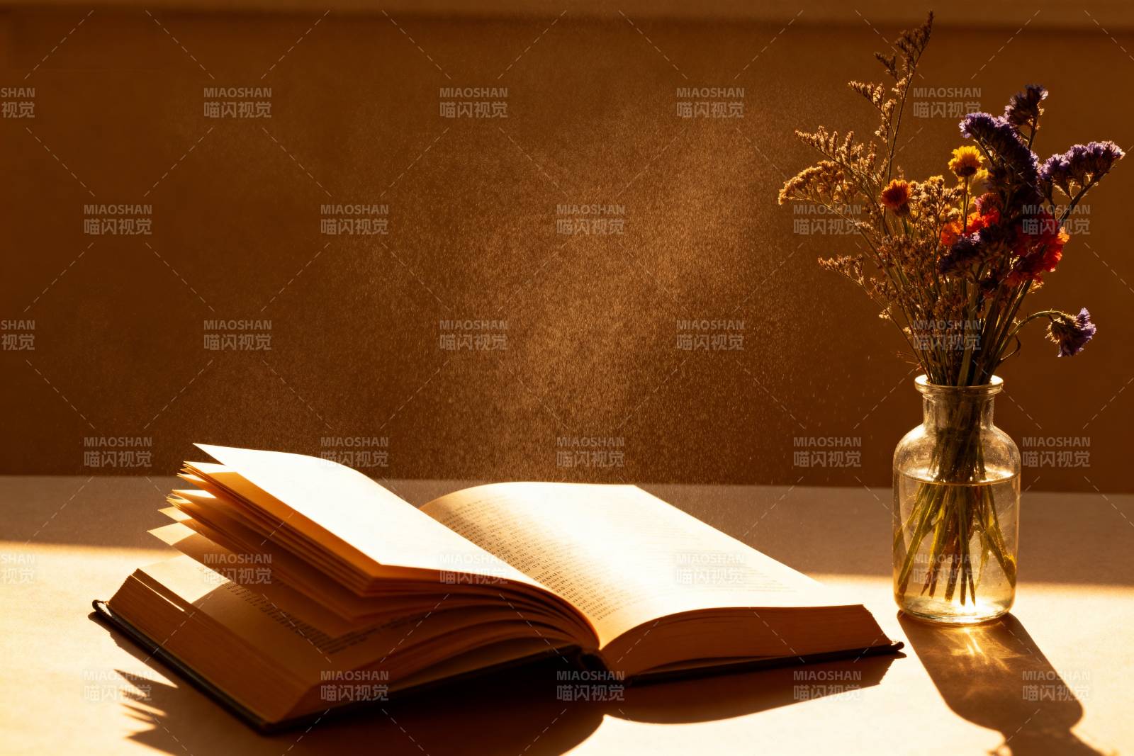 书页与花影图片