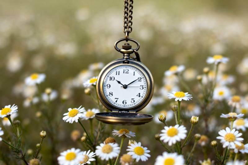 花丛中的怀表图片