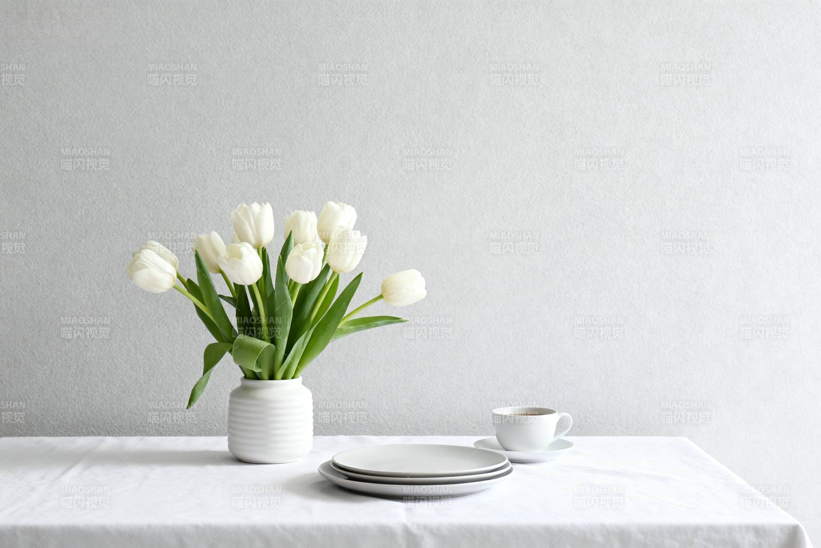 白郁金香静物图片