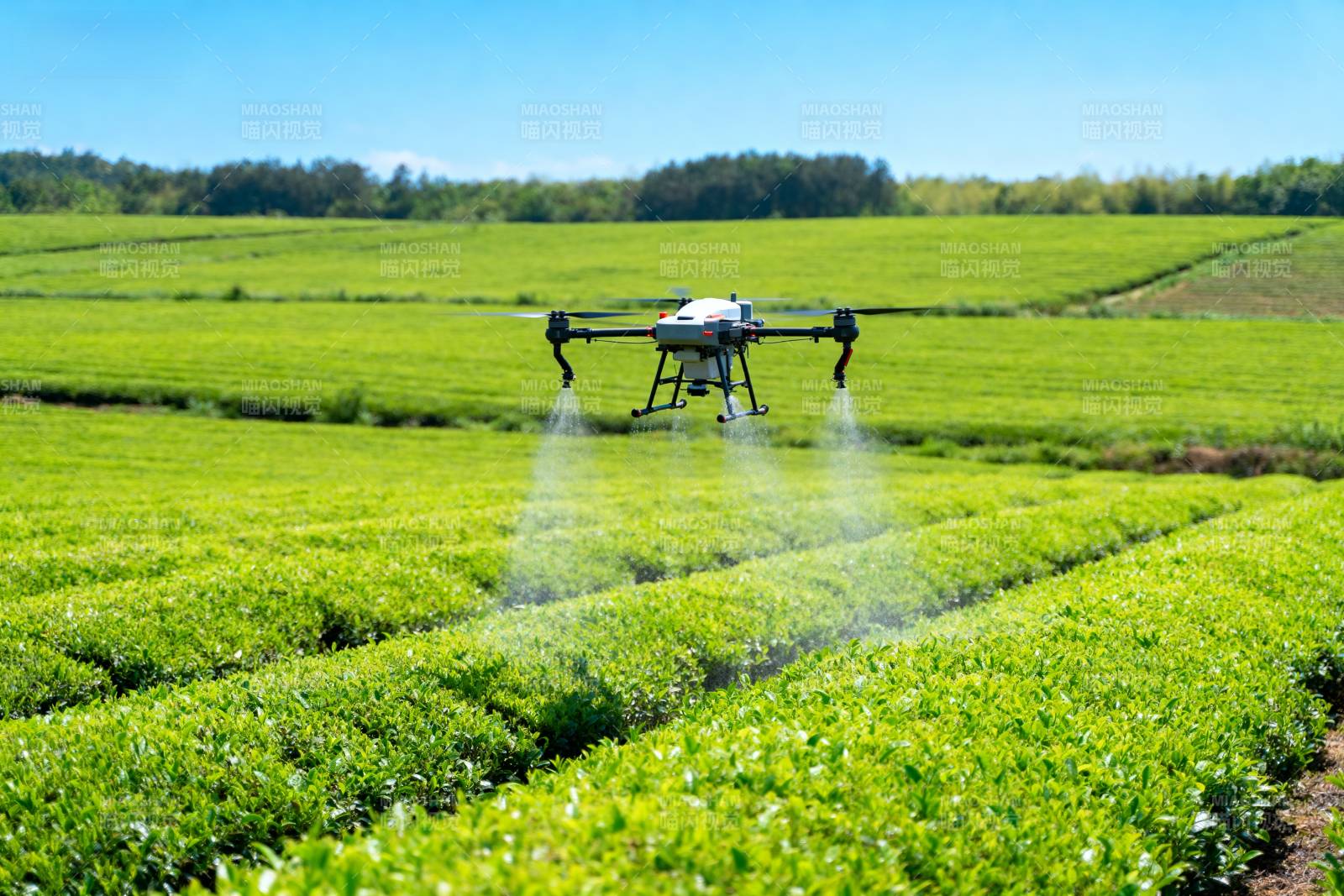 无人机喷洒农田图片