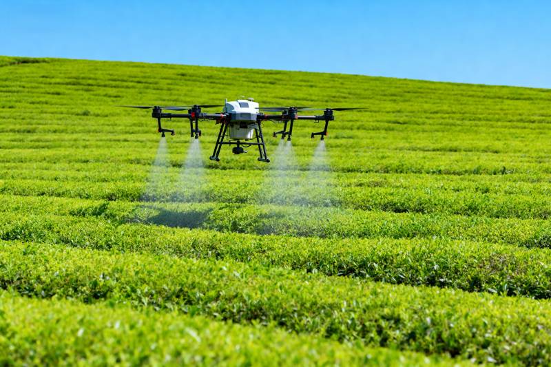 无人机喷洒茶园图片