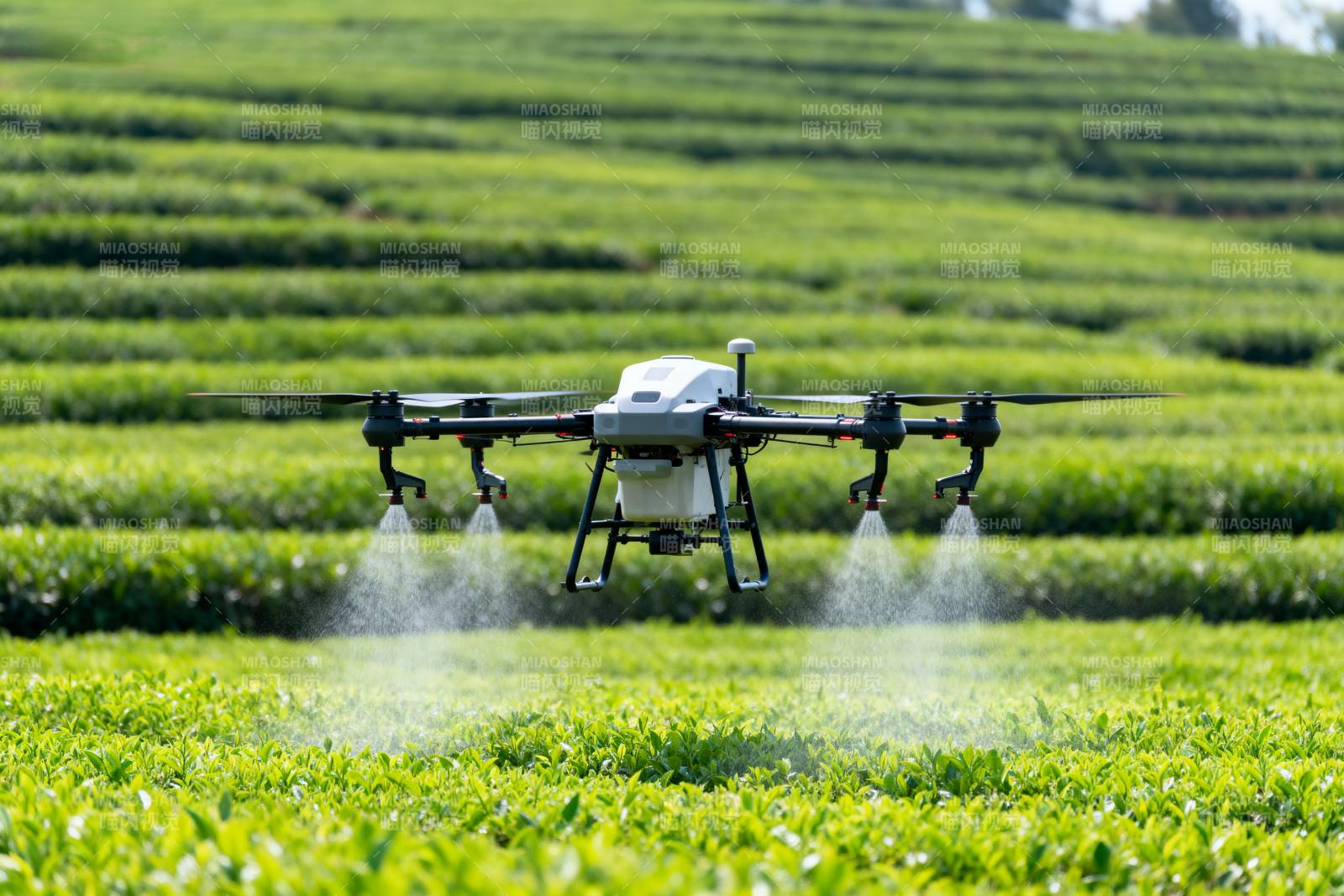 无人机喷洒茶园图片