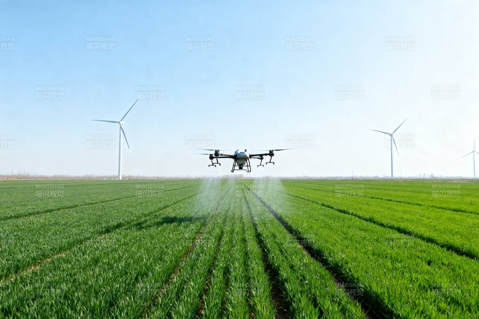 无人机农田喷洒图片