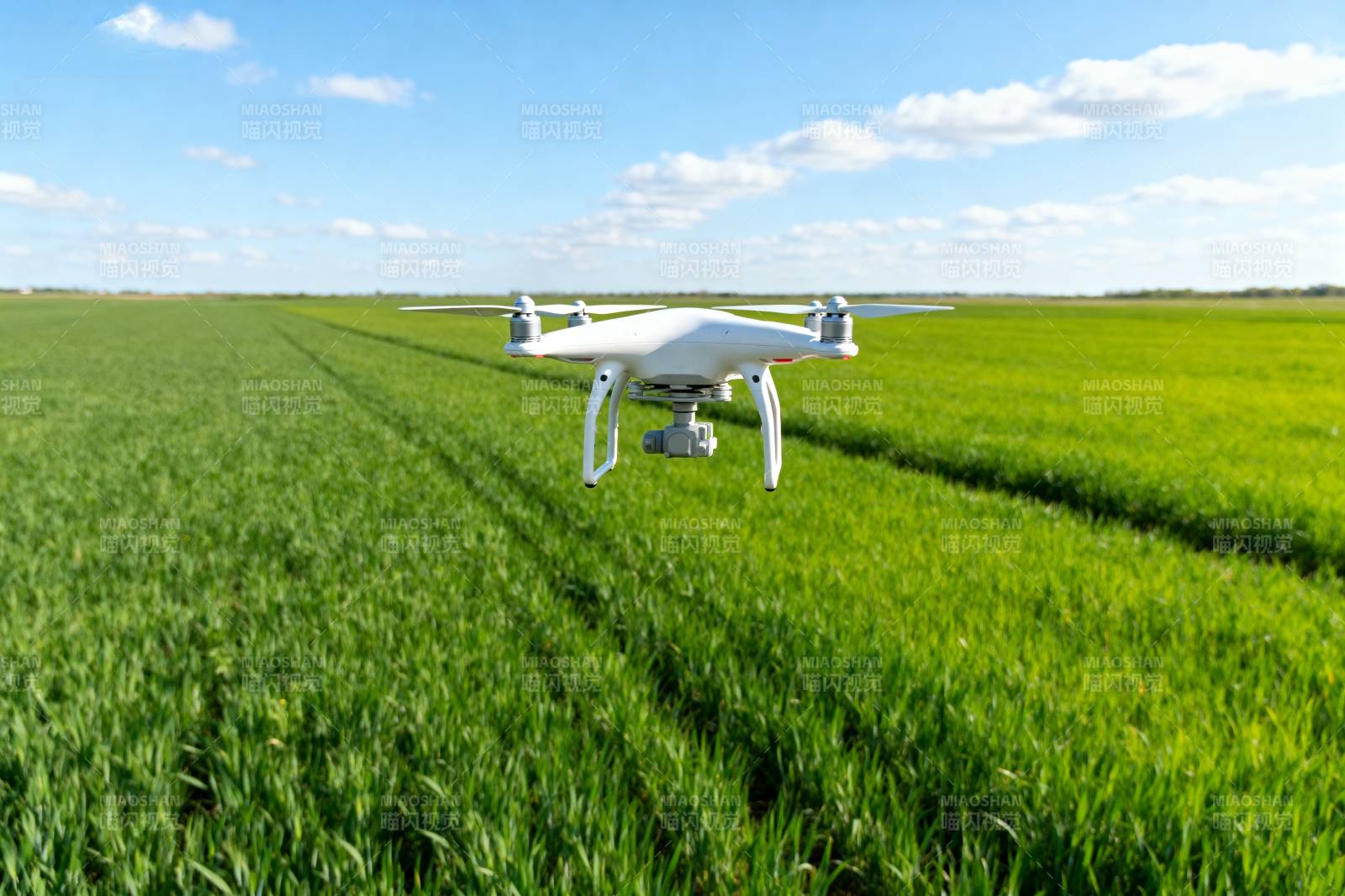 无人机巡田图片