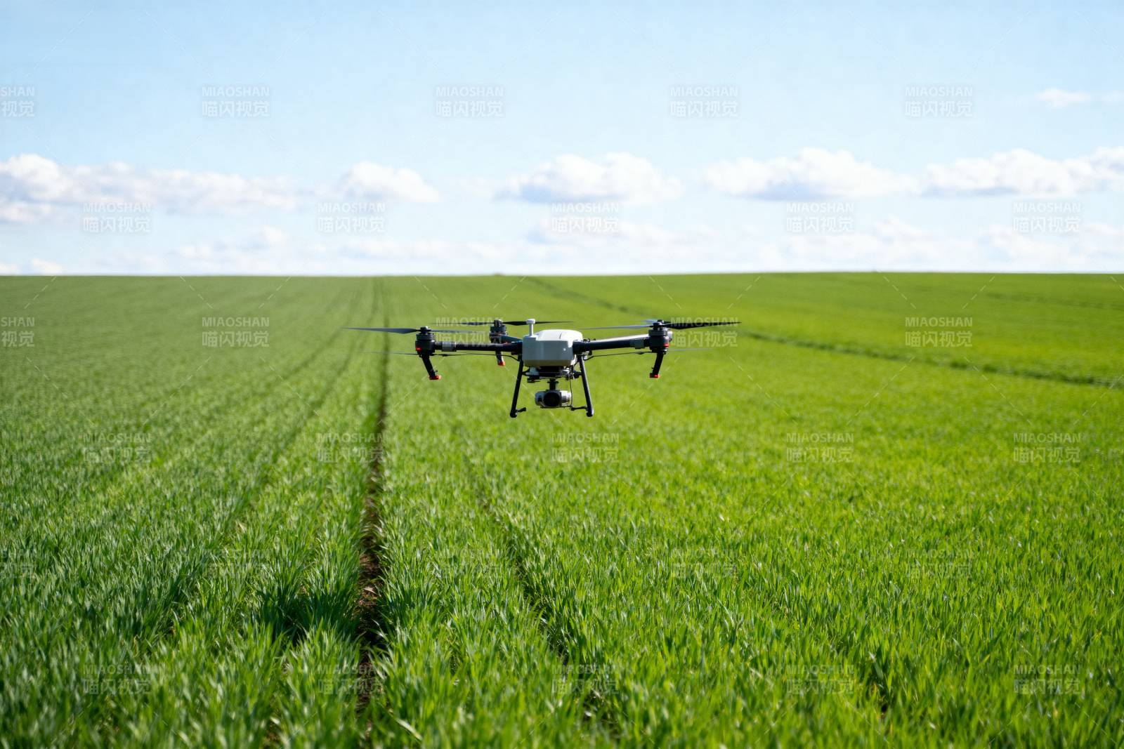 无人机飞越绿野图片