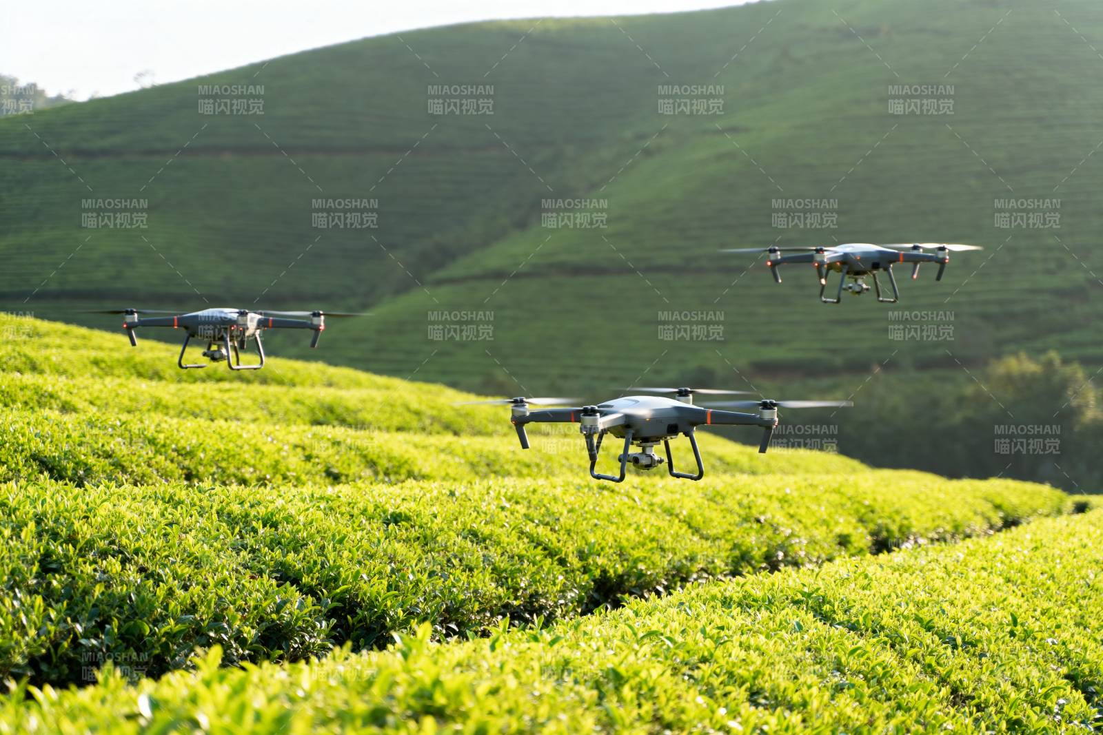 无人机巡茶园图片