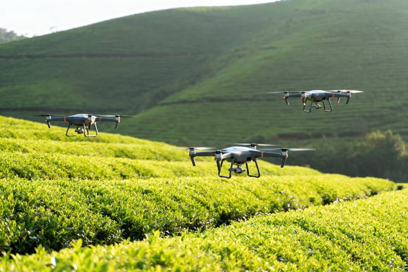 无人机巡茶园图片