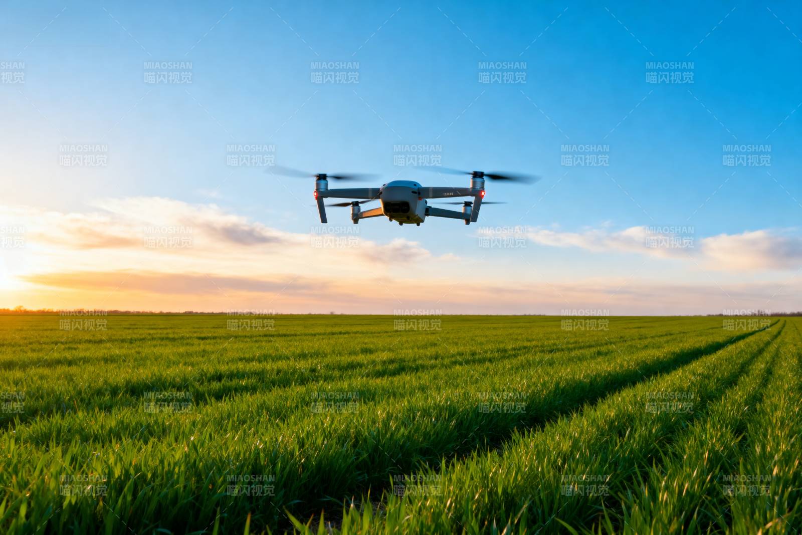 无人机巡田图片