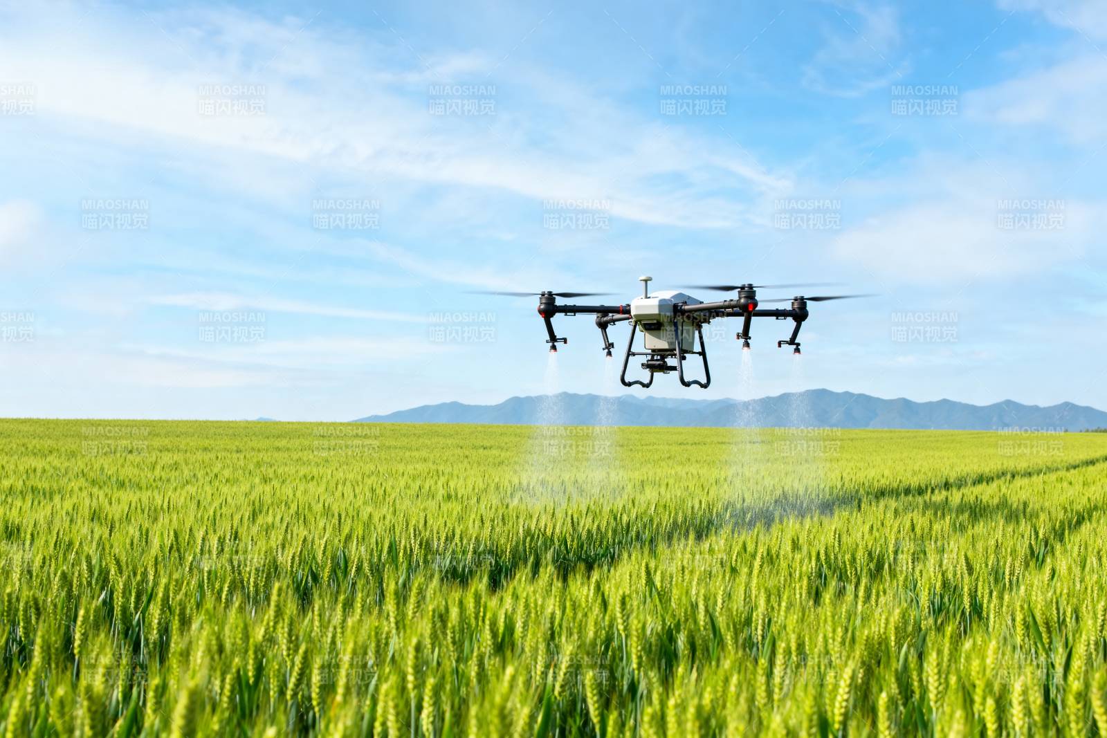 无人机喷洒农田图片