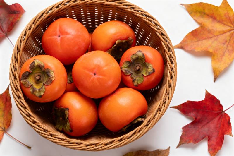 秋日柿子篮图片