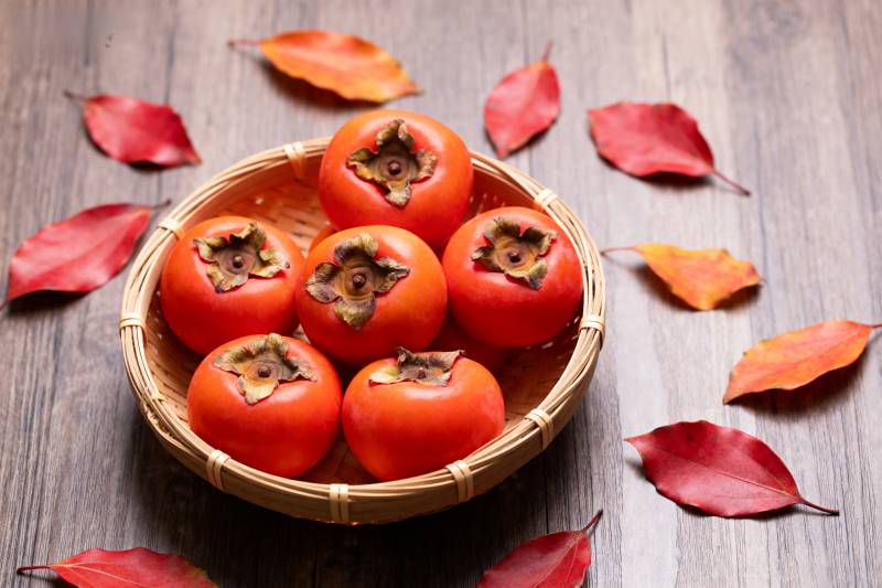 秋日柿子静物图片