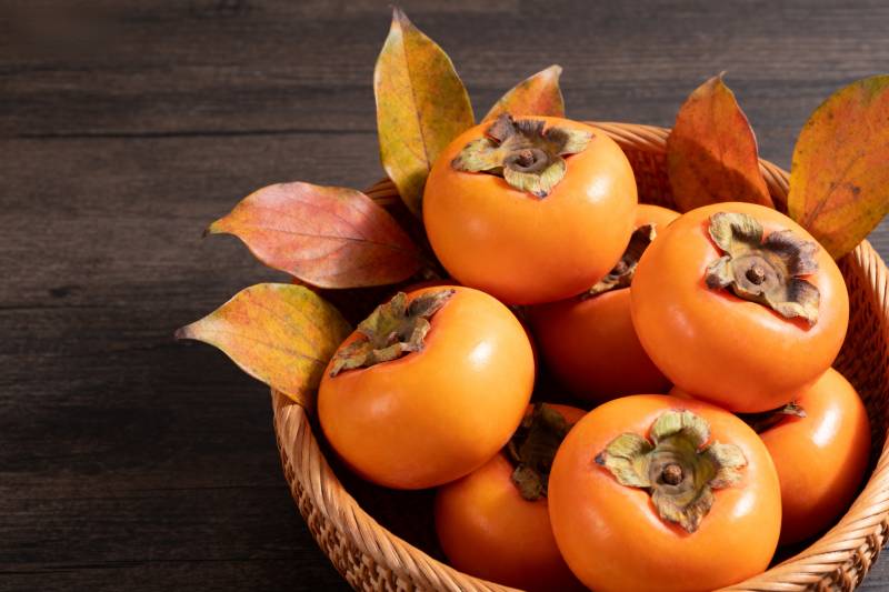 秋日柿子篮图片