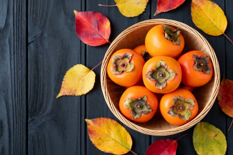 秋日柿子与落叶图片