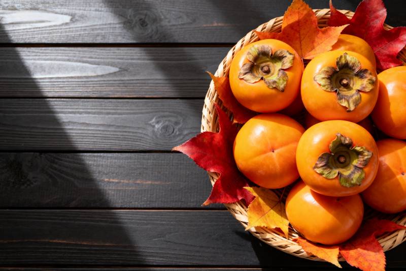 秋日柿子静物图片