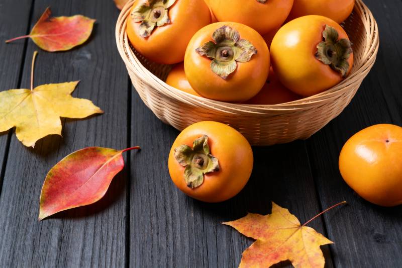 秋日柿子静物图片