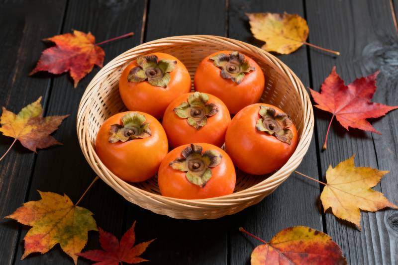 秋日柿子篮图片