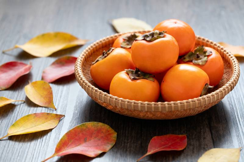 秋日柿子静物图片