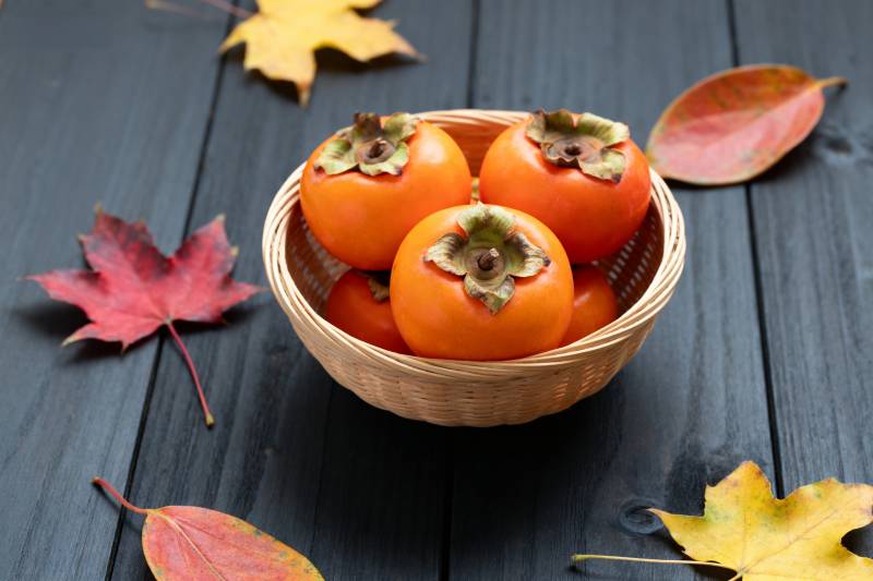秋日柿子静物图片