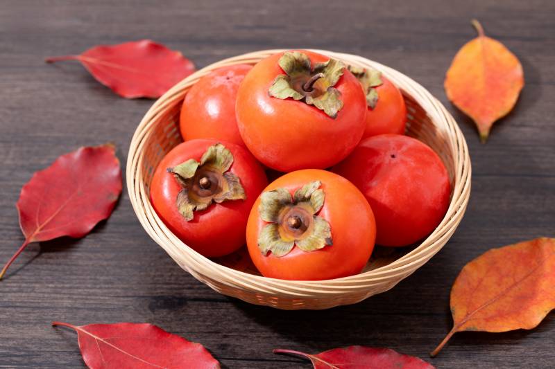 秋日柿子静物图片