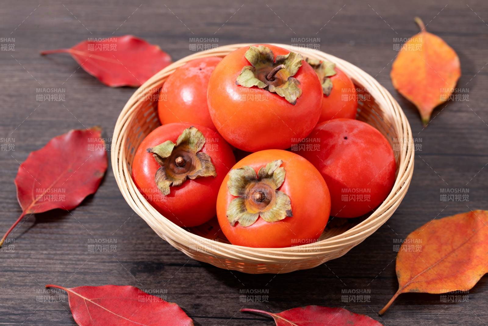 秋日柿子静物图片