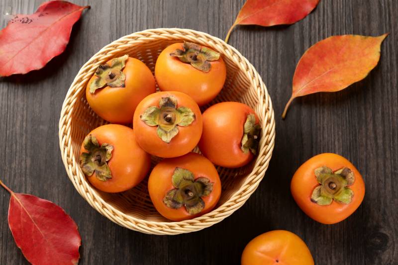 秋日柿子静物图图片