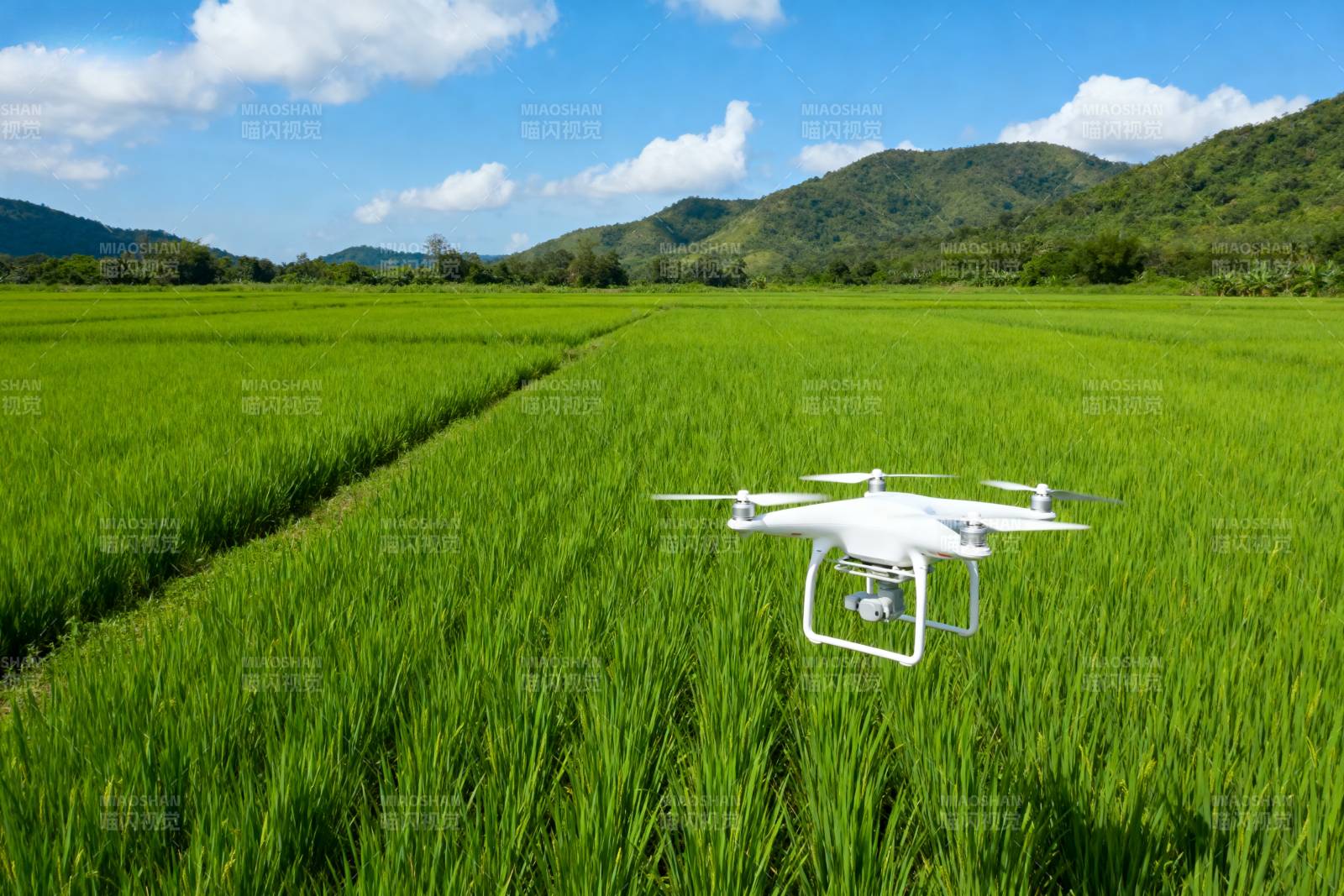 无人机巡田图片