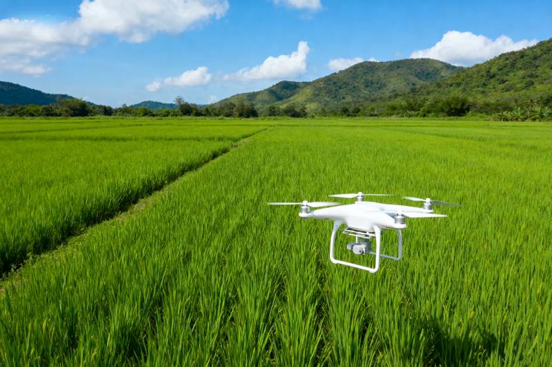 无人机巡田图片