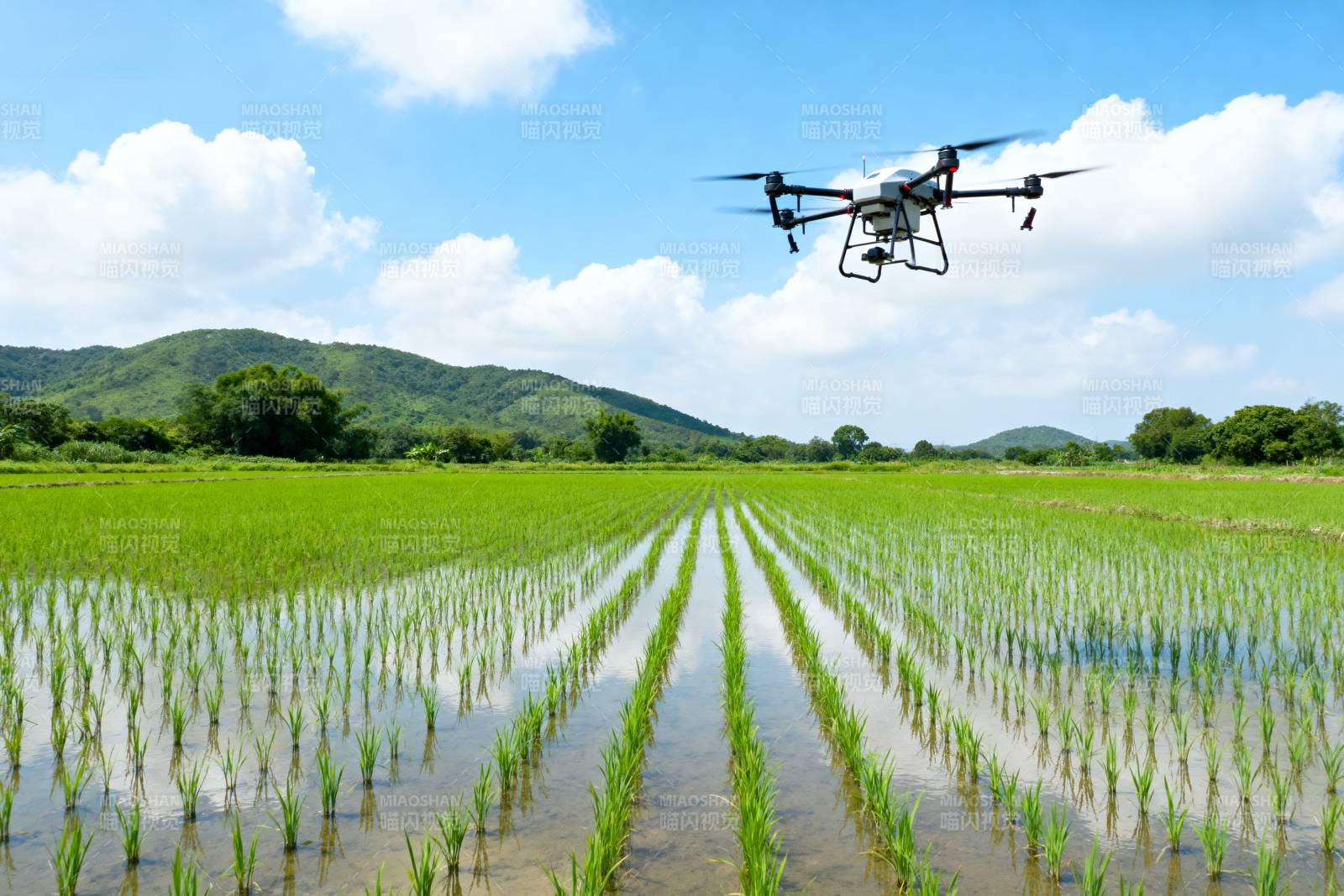 无人机巡田图片