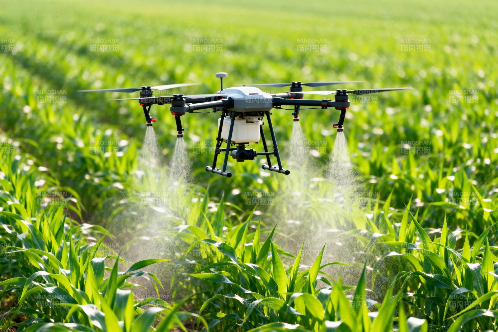 无人机农田喷洒图片