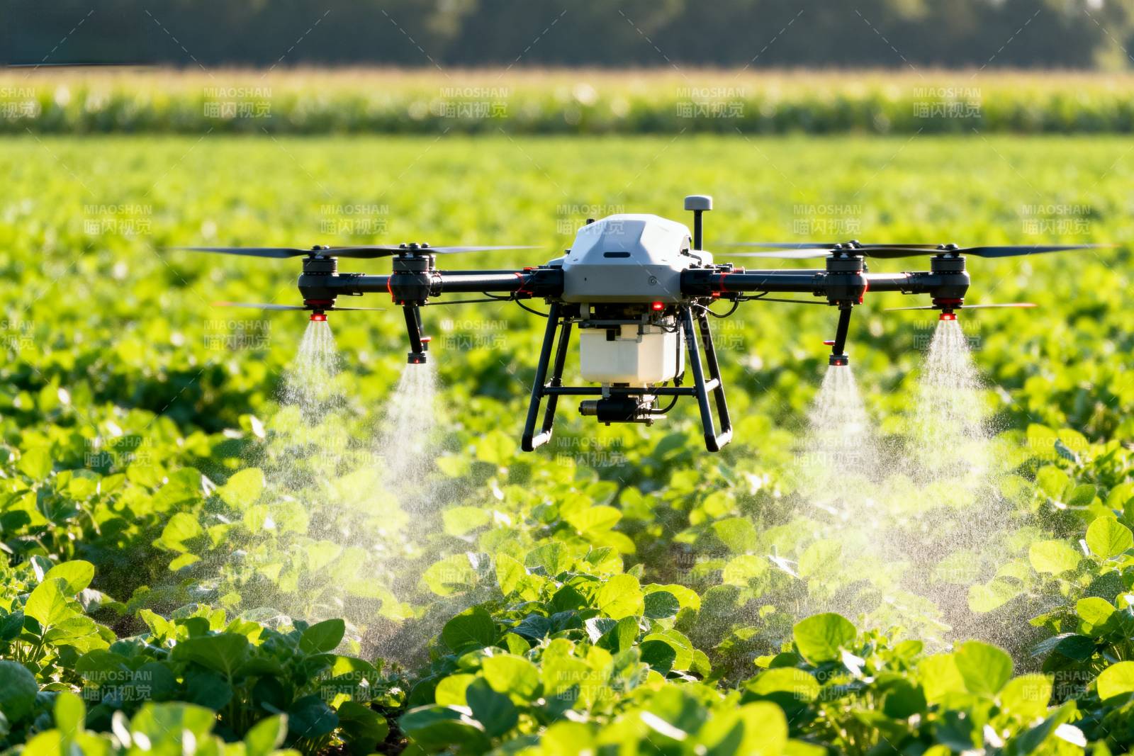 无人机喷洒农田图片