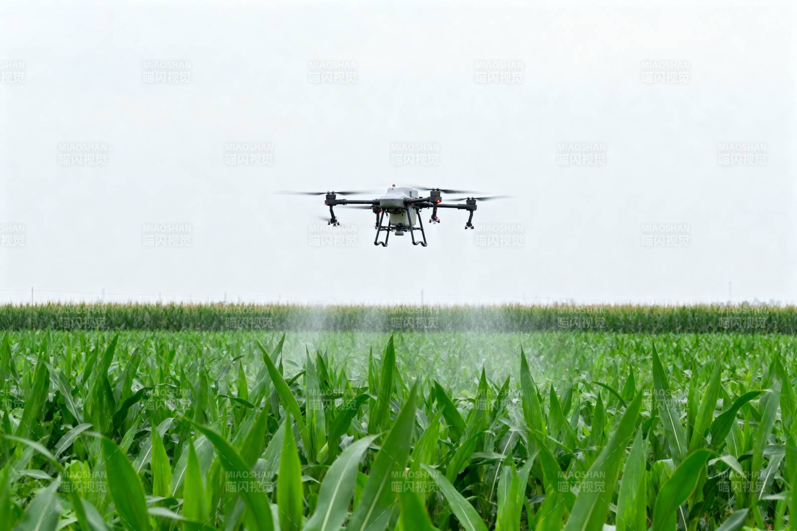 无人机喷洒农田图片
