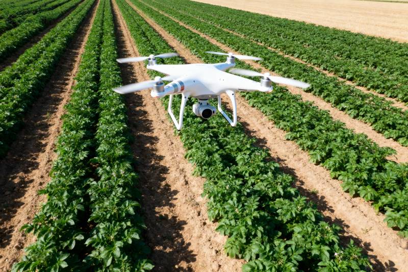 无人机巡田图片