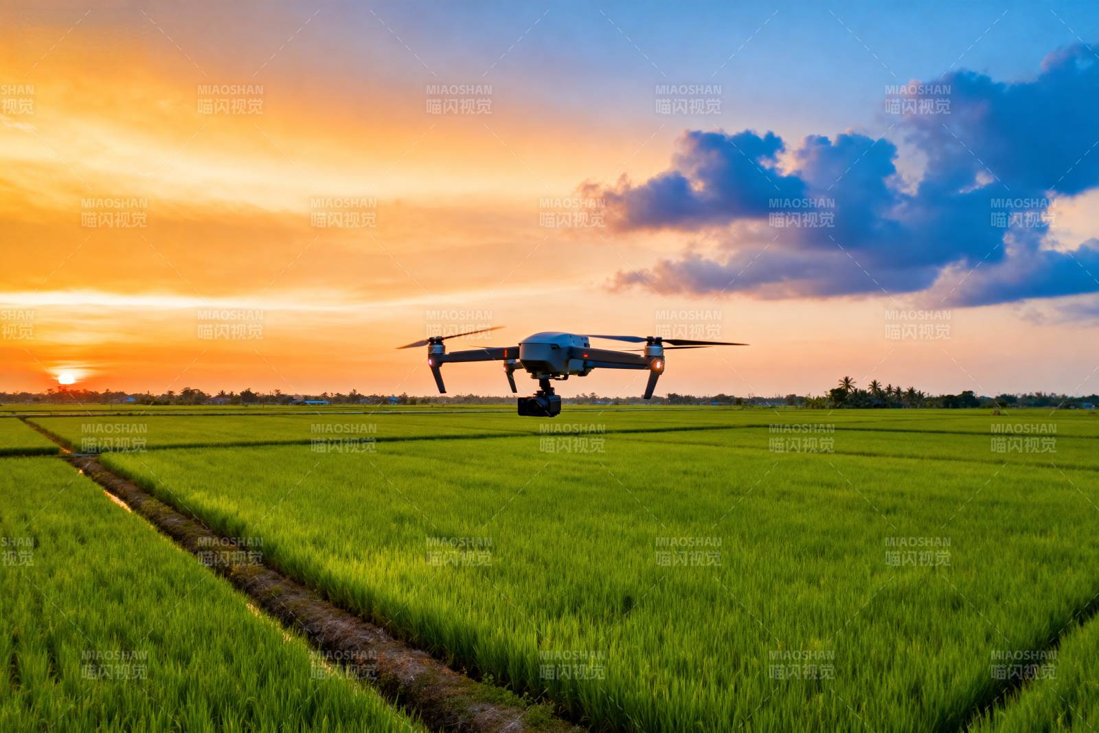 无人机耕作稻田图片