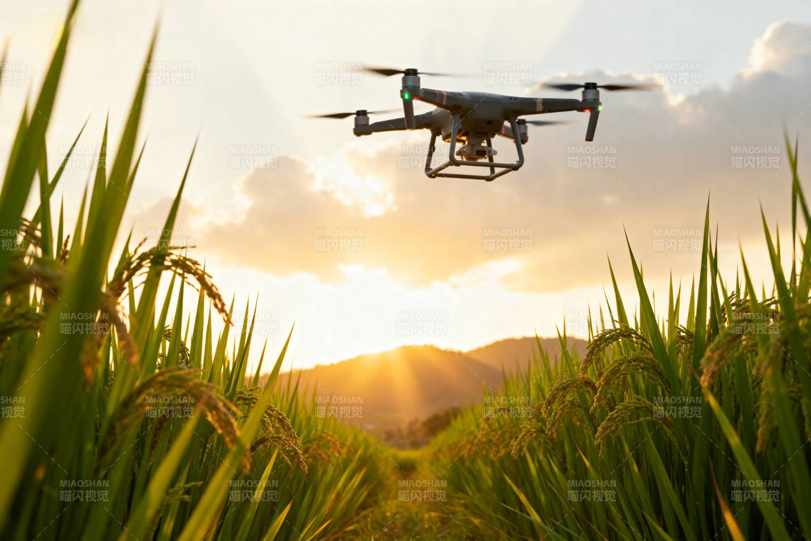 无人机耕田日落时图片