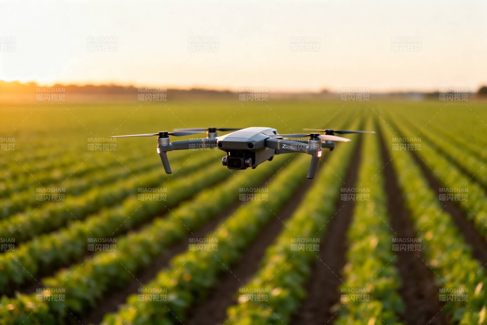 无人机巡田图片