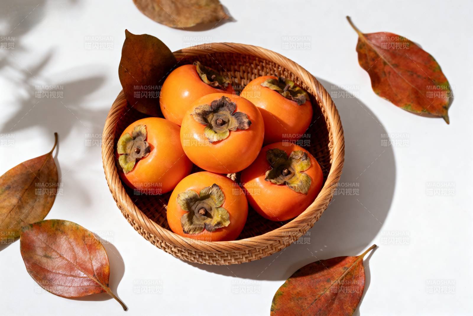 秋日柿子静物图片