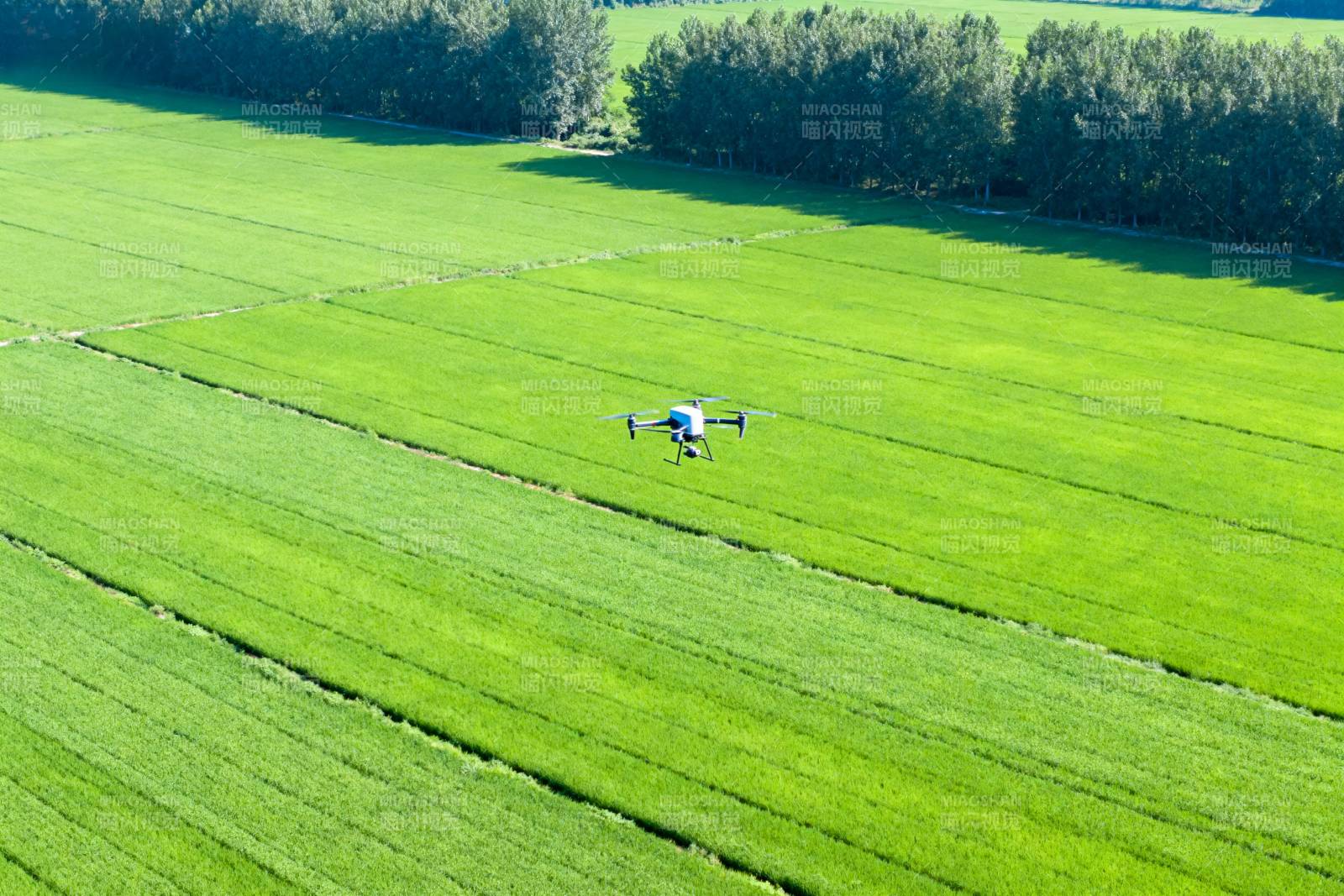 无人机巡田作业图片