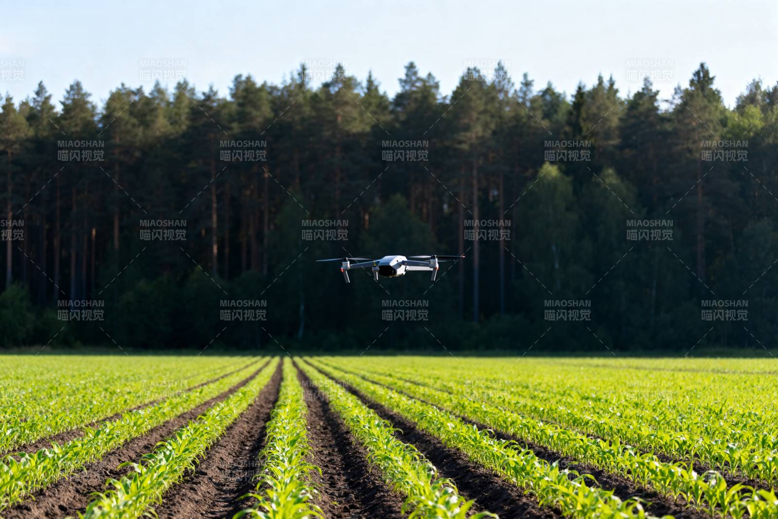 无人机飞越农田图片