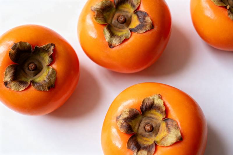 柿子果实特写图片