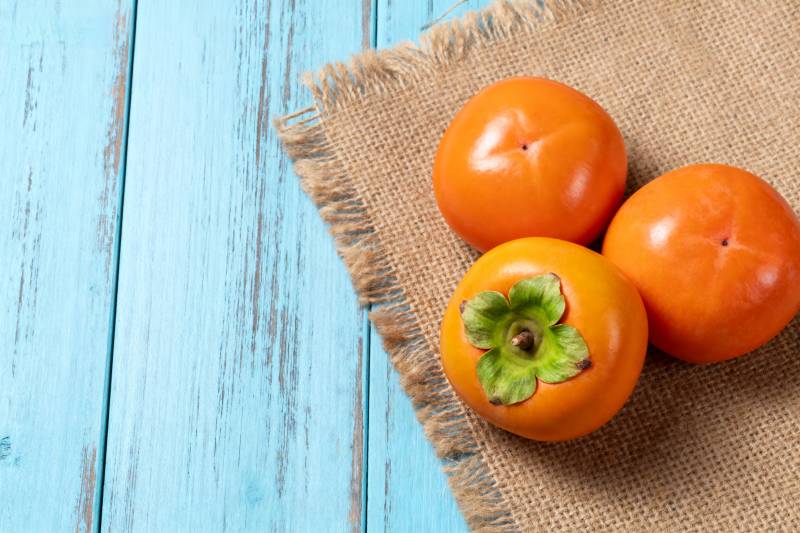 柿子静物图图片