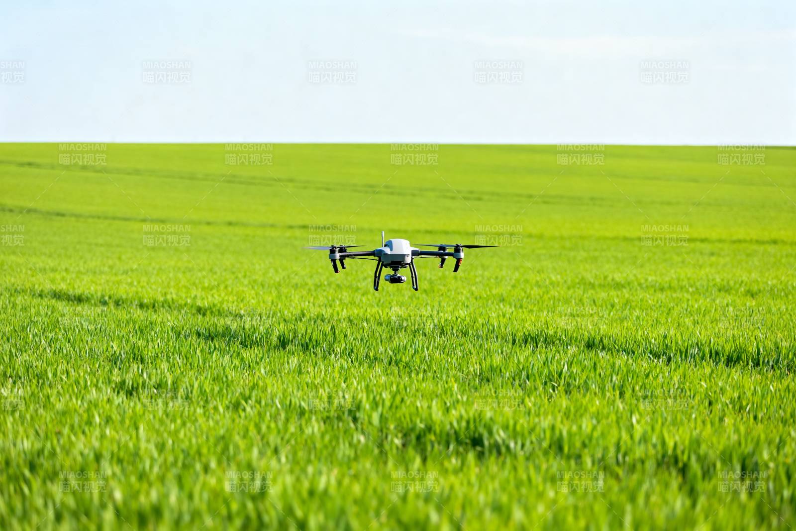 无人机飞越绿野图片