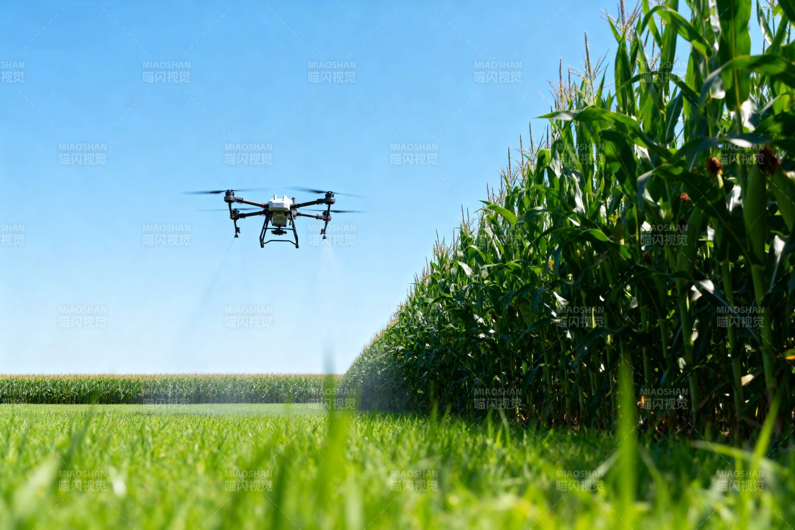 无人机农田作业图片