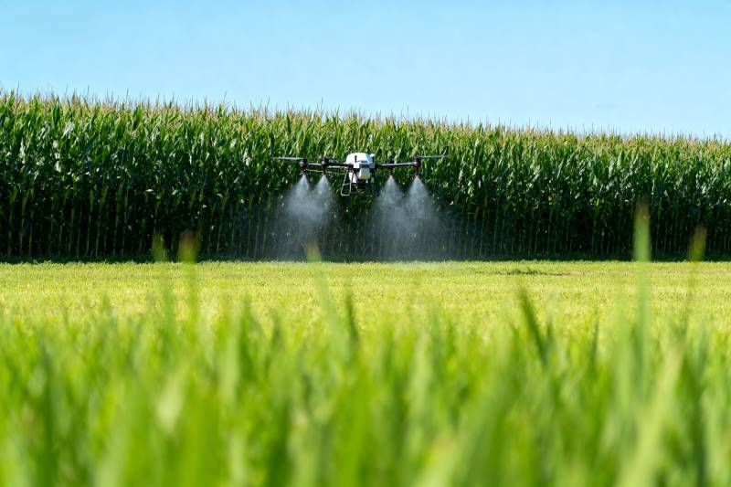 无人机喷洒农田图片