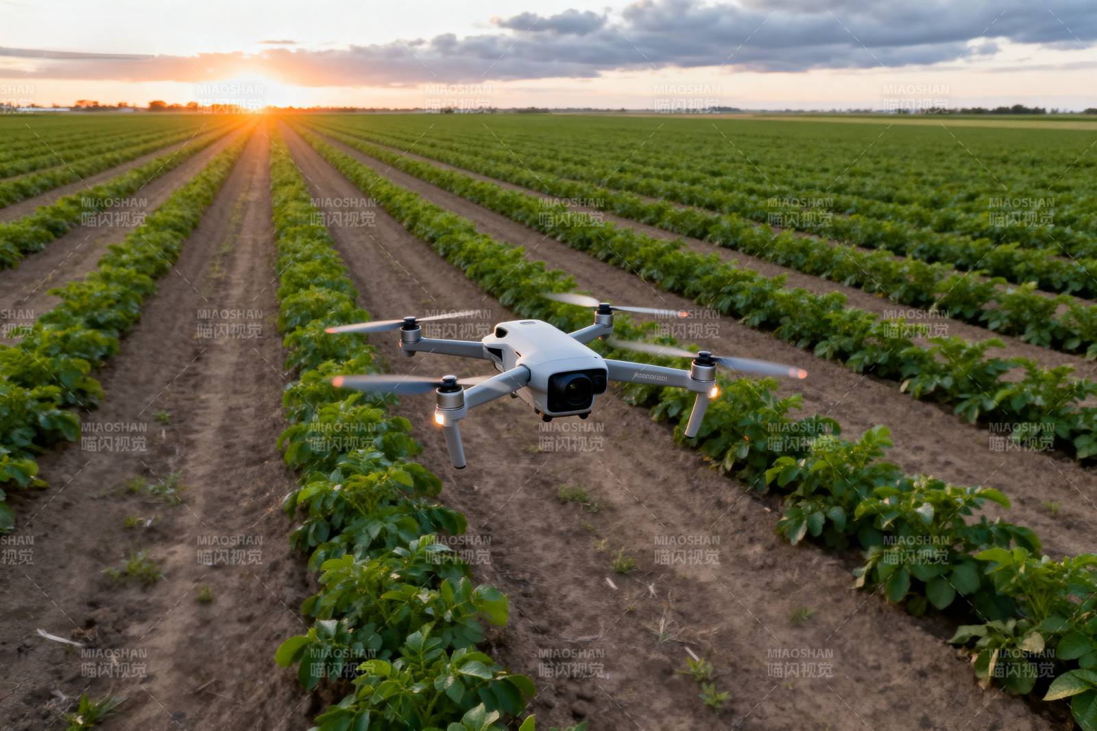 无人机巡田图片