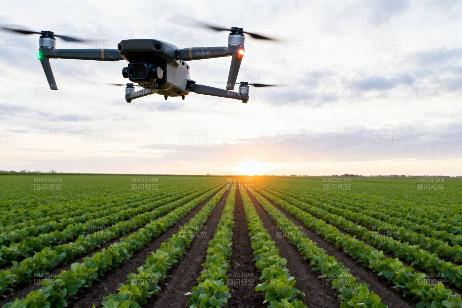 无人机巡田图片