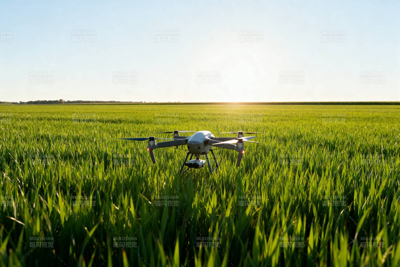 无人机飞越绿野图片