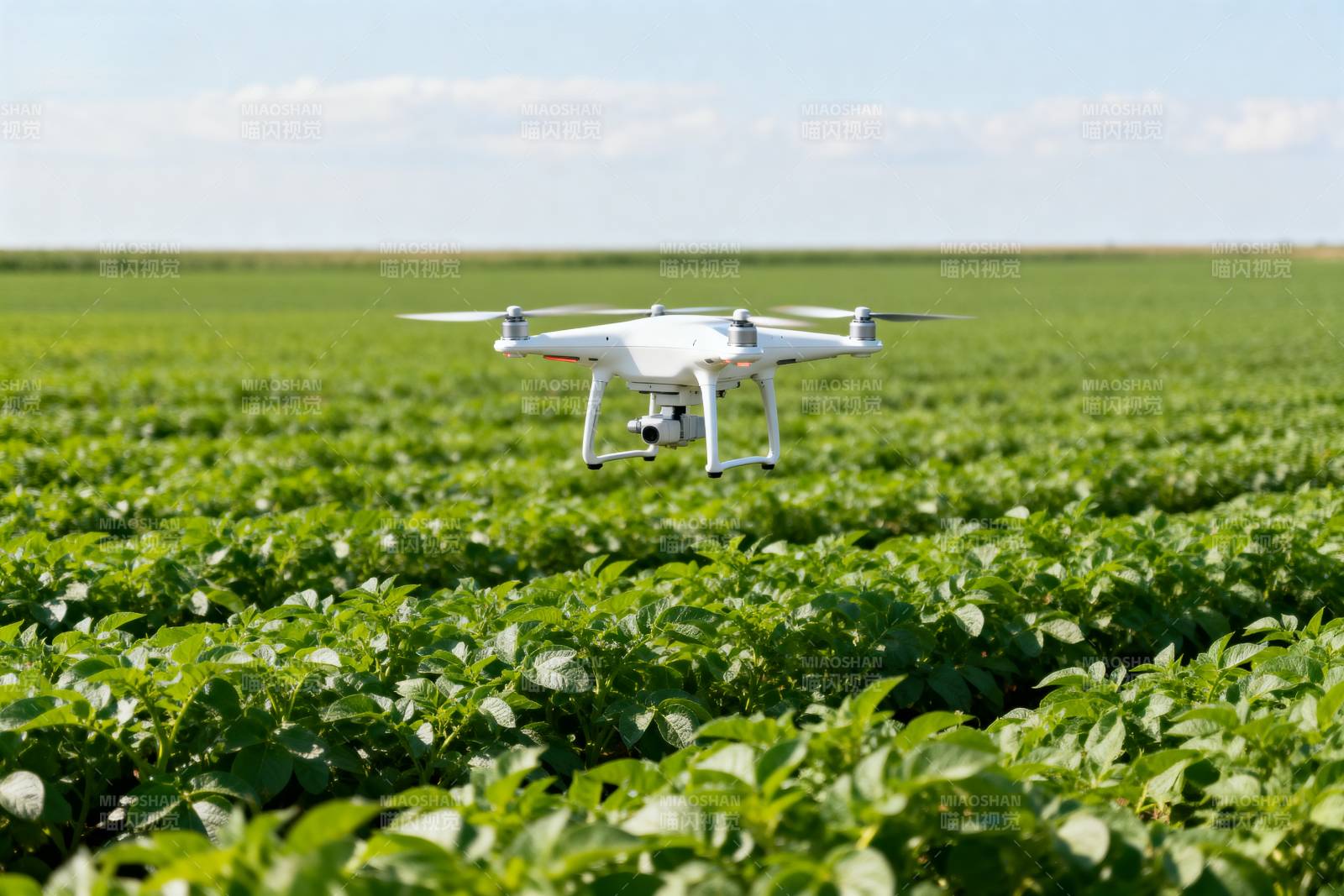 无人机巡田图片